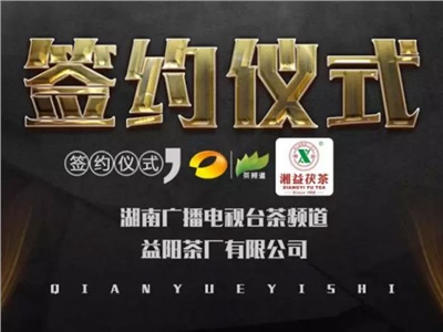 湘益茯，美茗揚 丨湘益茯茶與茶頻道達成長期戰(zhàn)略合作