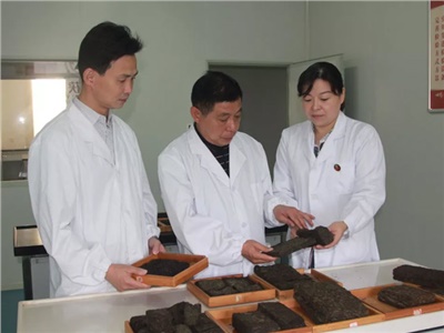 傳承茯茶非遺技藝、開拓創(chuàng)新引領(lǐng)行業(yè)發(fā)展