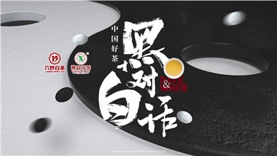 首屆黑白對話高峰論壇圓滿落幕！湘益茯茶備受關注！